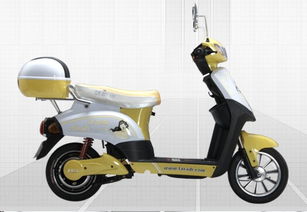 電動(dòng)車(chē)未來(lái)出行 綠色與智能的融合