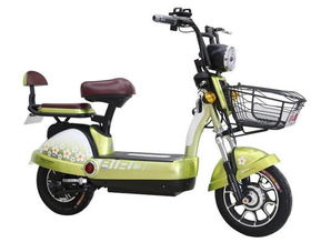 小鳥(niǎo)電動(dòng)車(chē) 用心質(zhì)造，只為放心電動(dòng)車(chē)