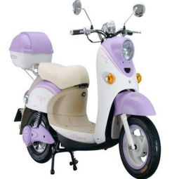 宏途智能電動(dòng)車(chē)加盟評(píng)測(cè) 產(chǎn)品實(shí)力與加盟前景深度解析